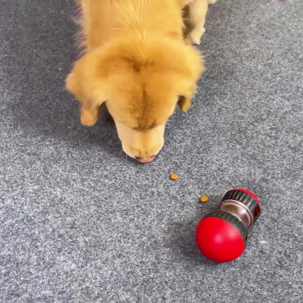 Juguete Dog IQ y comedero lento: rompecabezas de entrenamiento para cachorros y gatos