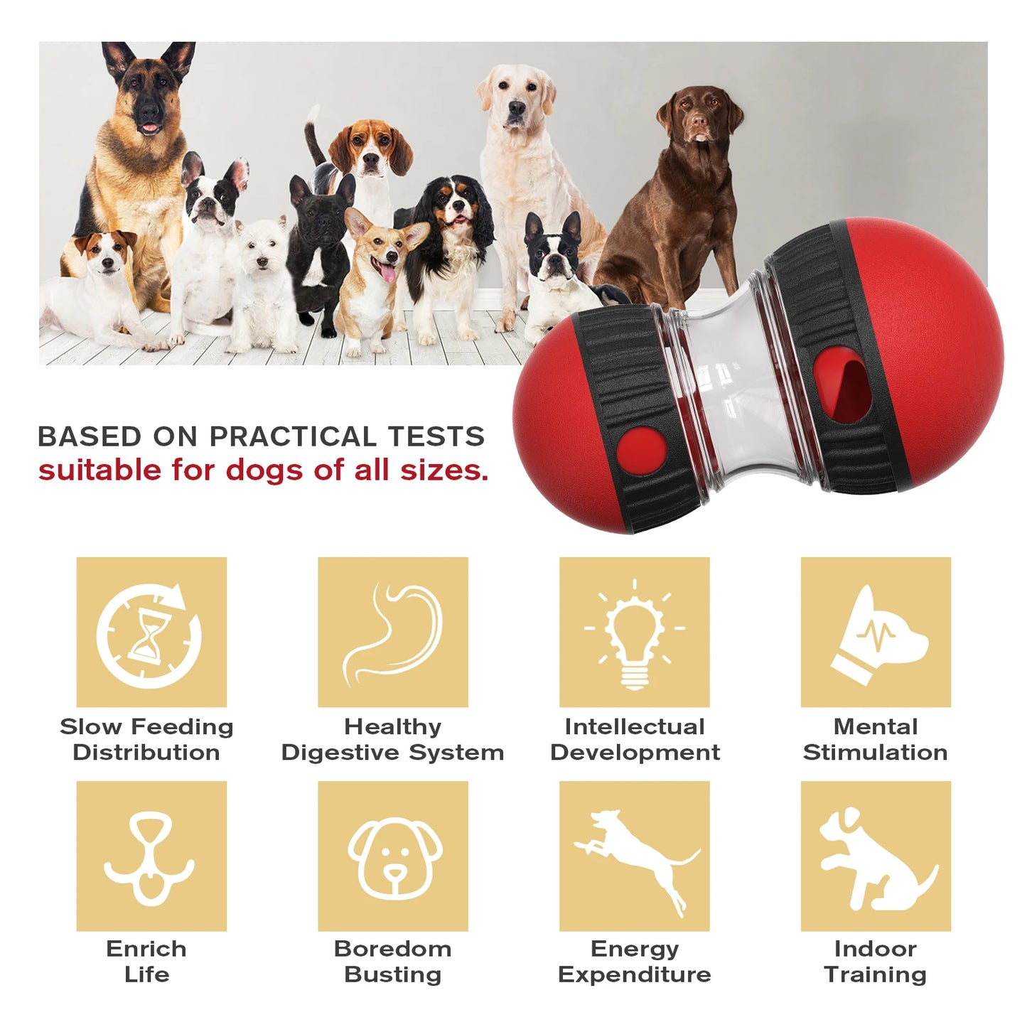 Juguete Dog IQ y comedero lento: rompecabezas de entrenamiento para cachorros y gatos