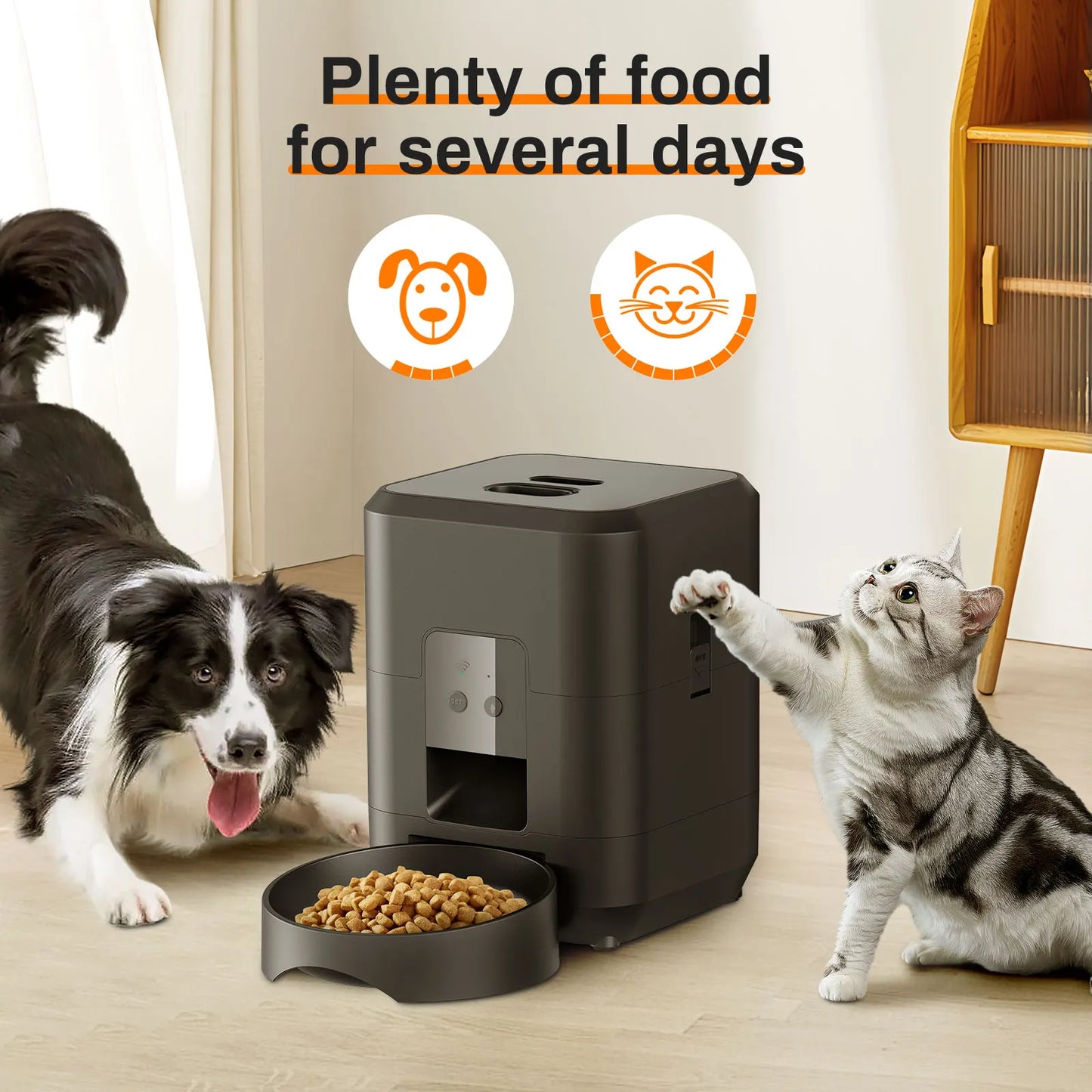 Dispensador automático de comida para mascotas: comedero con temporizador inteligente para perros y gatos