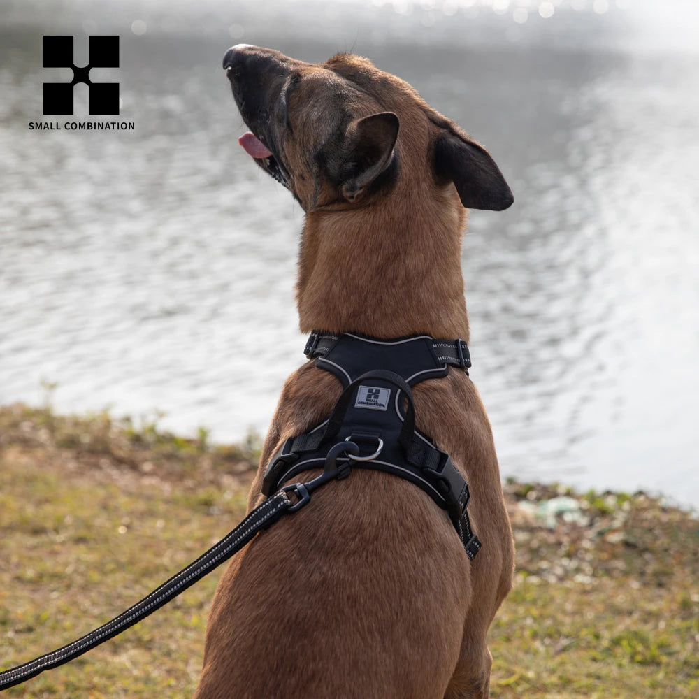 Arnés reflectante ajustable para perros: chaleco acolchado antitirones personalizado para perros pequeños y grandes