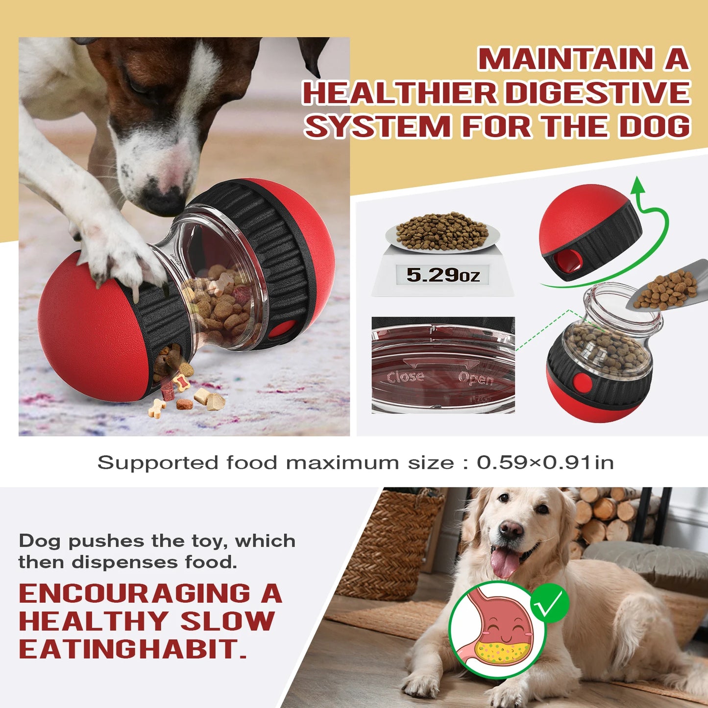 Juguete Dog IQ y comedero lento: rompecabezas de entrenamiento para cachorros y gatos
