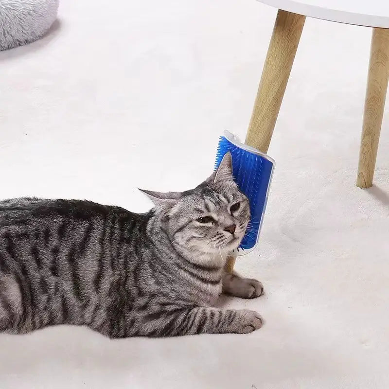 Cepillo de masaje autocuidado para gatos: quitapelos y rascador de pared